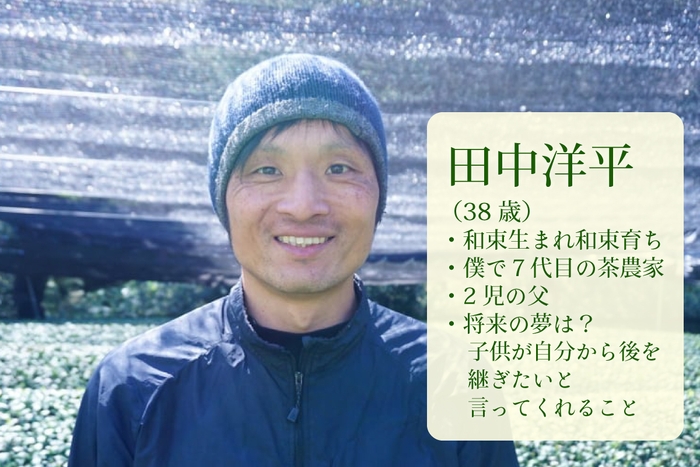 茶農家紹介：田中 洋平