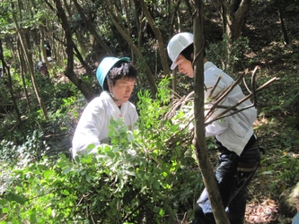 森を守り、水を守るための森林整備活動に参加