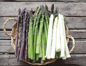 HOKKAIDO SNOW JEWELS