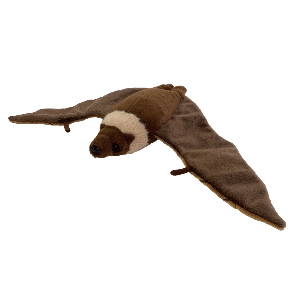 オオコウモリ