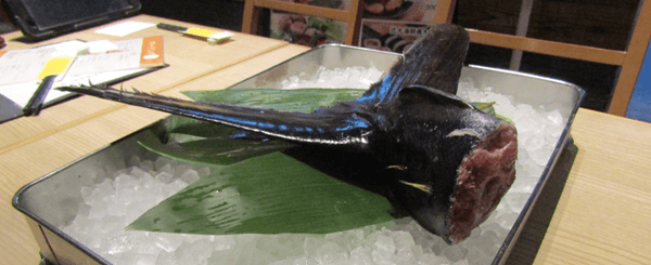 実習で使用する、近大マグロの尾びれ部分