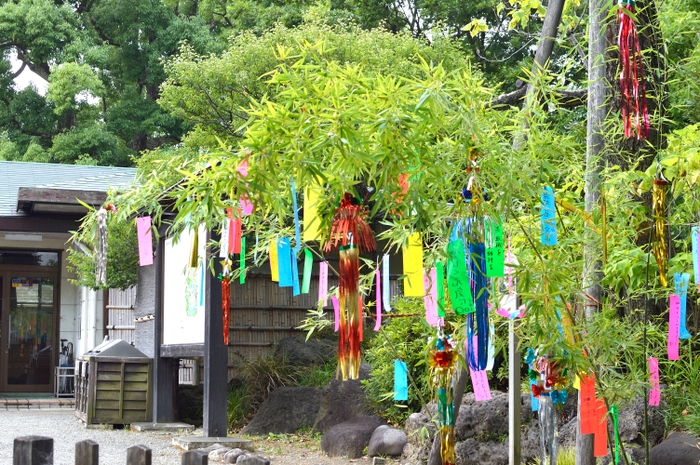 過去開催の様子（清澄庭園）