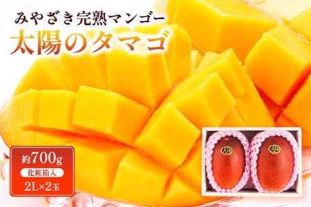 宮崎県産完熟マンゴー「太陽のタマゴ」を期間・数量限定で販売！先着100個お客様送料負担なし＆特別価格　JAタウンのショップ「JAみやざき Tege Mahalo」からお届け