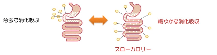 スローカロリーのイメージ図