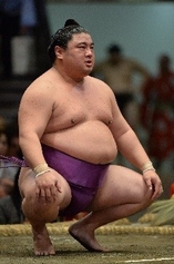 前頭五枚目 嘉風 【尾車部屋】