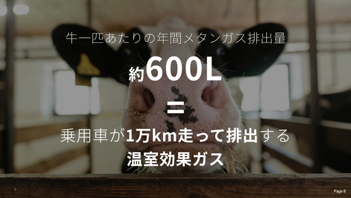 牛1頭がげっぷやおならとして放出するメタンガスの量は、1日160~320リットルにも上ると言われ、地球上には約15億頭の牛がいる。そのほとんどは肉牛や乳牛として繁殖させられたり、飼育されたりしている。