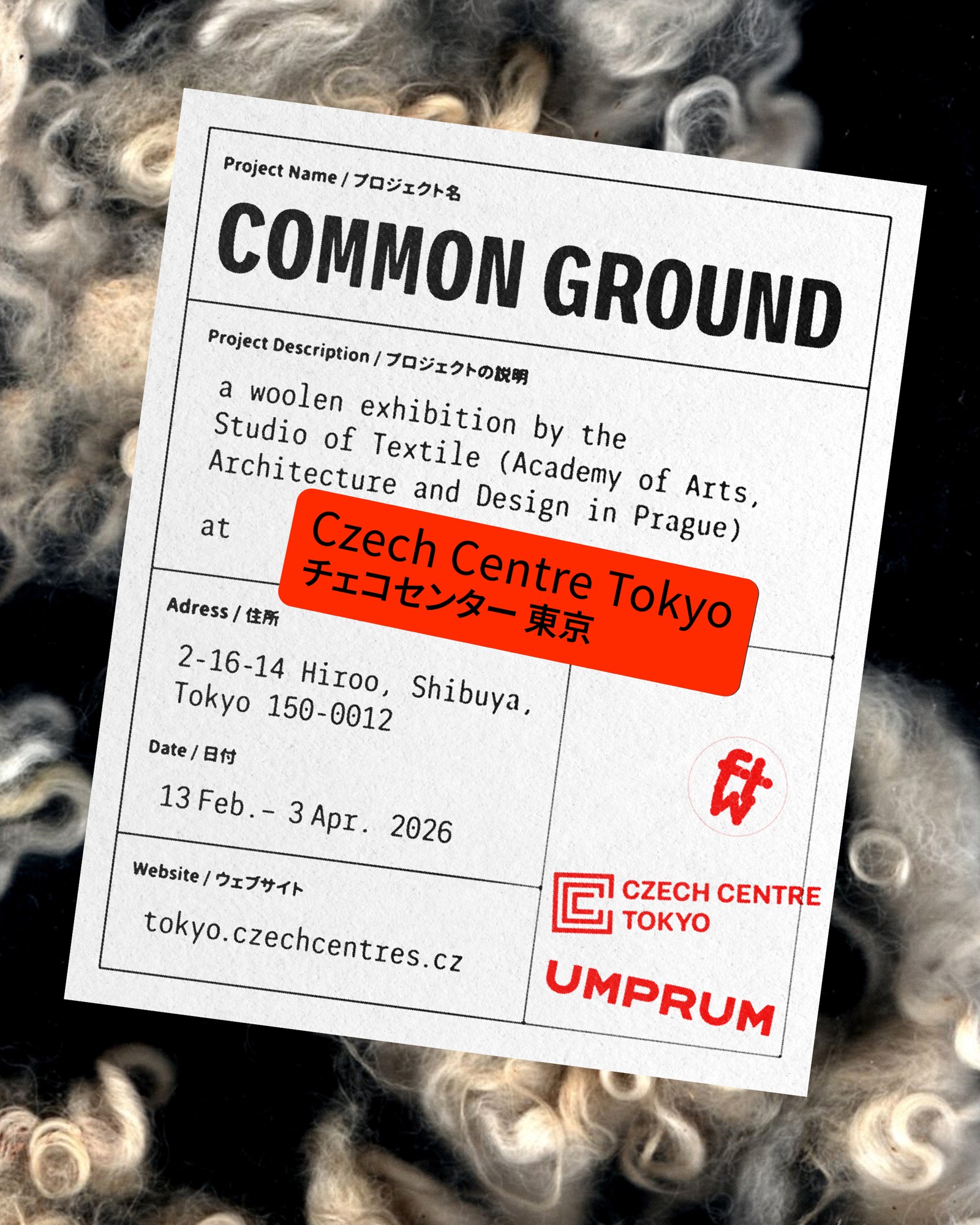 チェコの美大生によるウールと現代アートの融合作品「Common Ground」展が広尾で開催