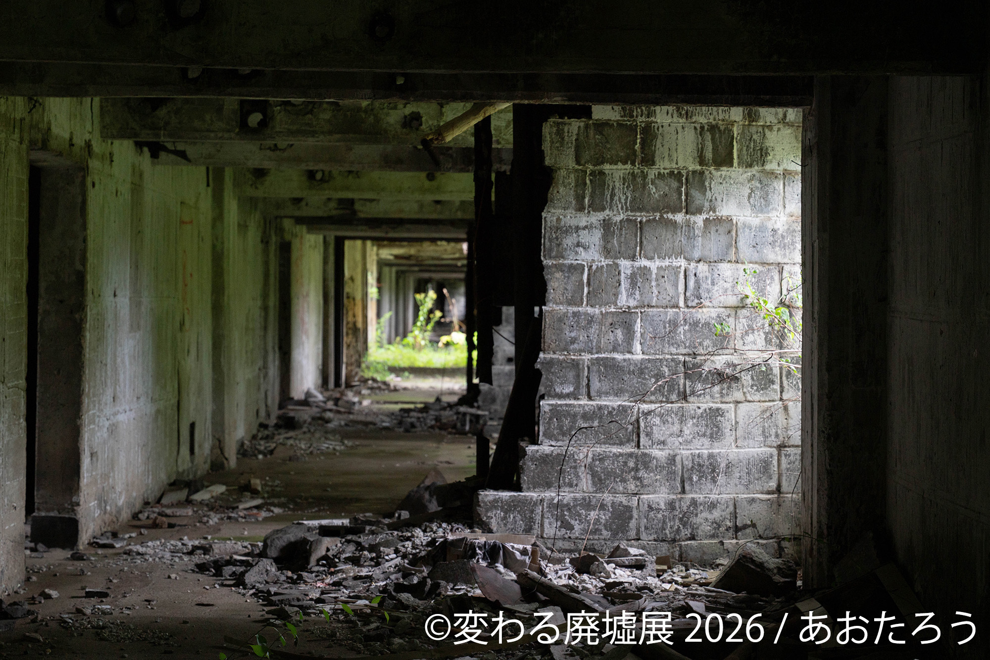 展示作品:あおたろう