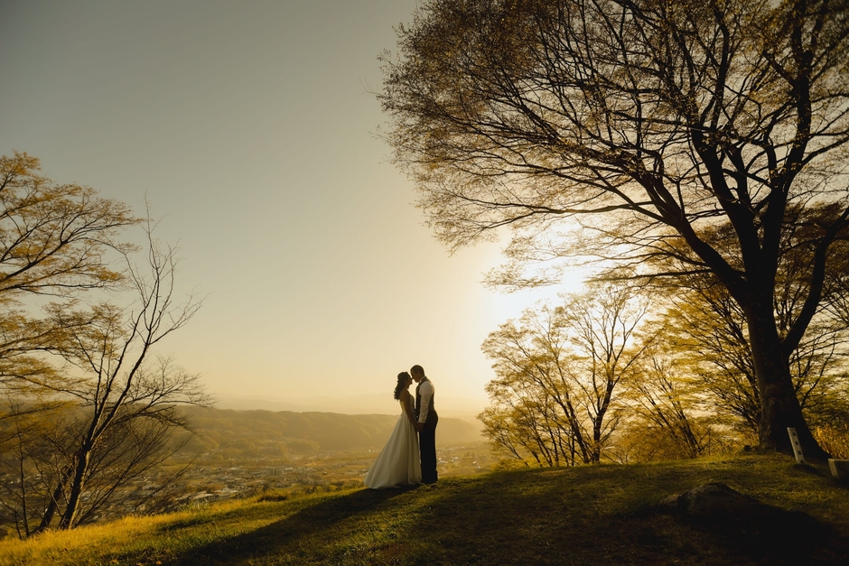 タイトル:夕暮れの優しい光に照らされて