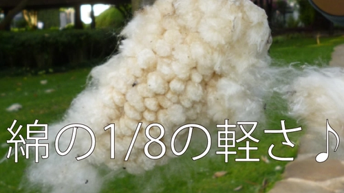 驚異の天然繊維「カポック」を使用した 軽くてエコなカットレングスパンツ　 Makuakeにて5月5日(水・祝)より販売開始！