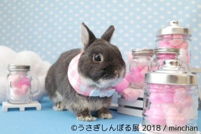 展示作品9