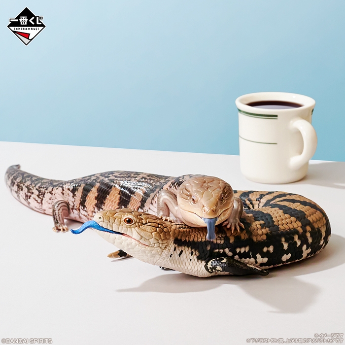 一番くじ 爬虫類&両生類~Tiny Friends~vol.2