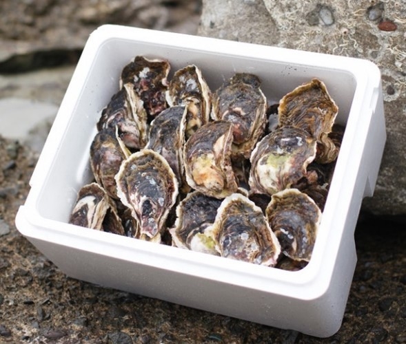 15個入り(寄付金額15,000円)からご用意しております。※サイズの指定はできません。※写真は30個入りとなります。