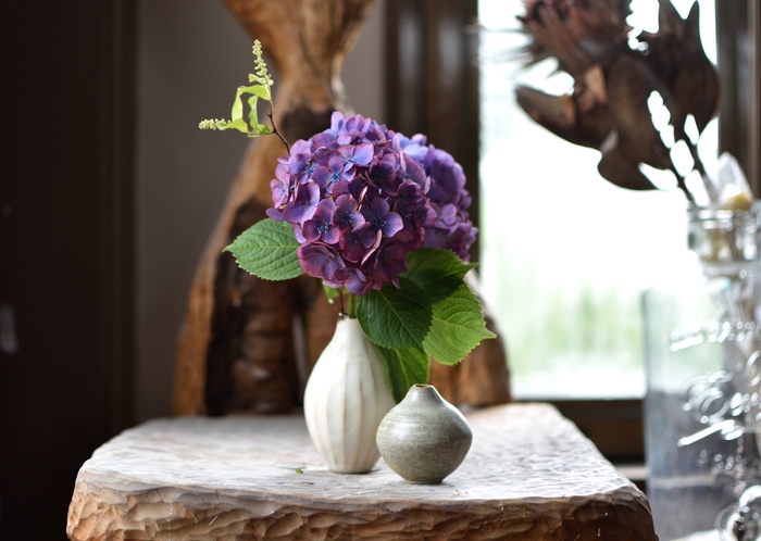 小川 綾　Aya Ogawa_3