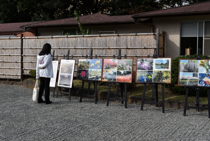 パネル展示の様子（令和３年）