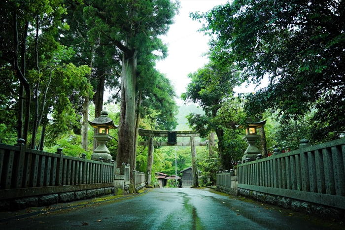 大瀧神社の参道