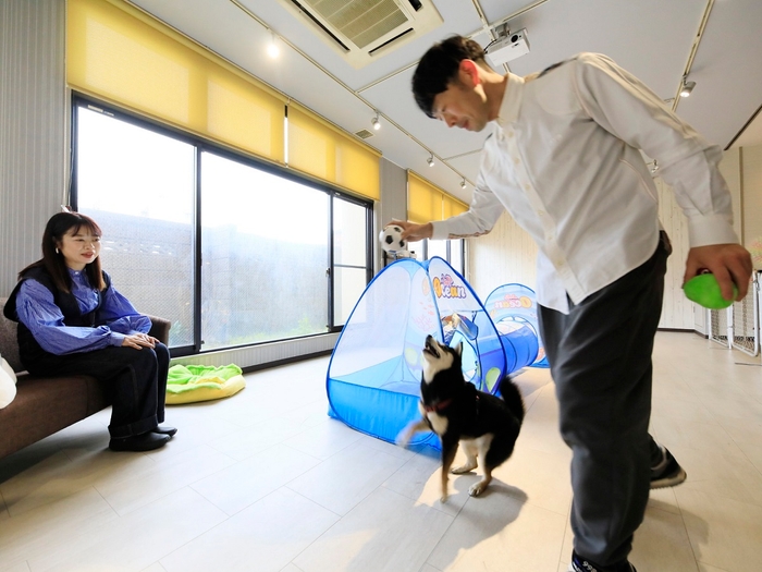 雨でも愉しめる屋内遊び場
