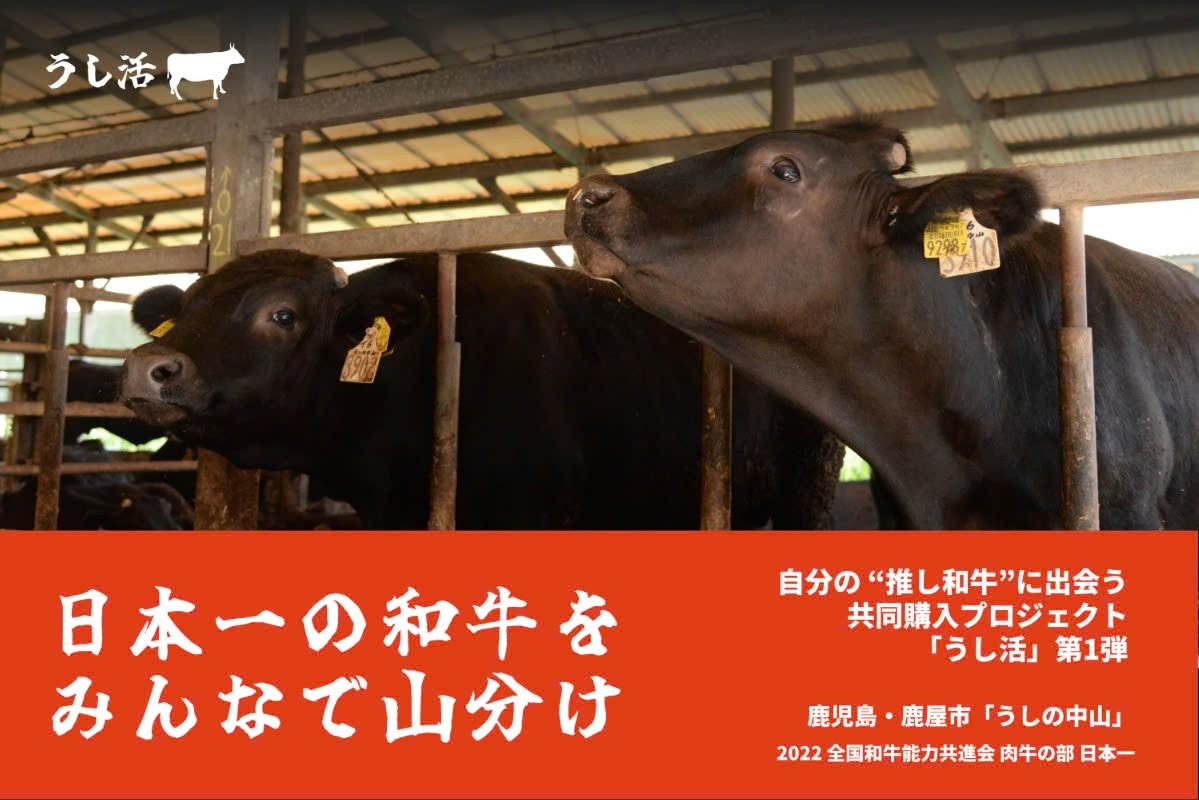 「日本一の和牛」をみんなで山分け!生産者も消費者もうれしい、新たな共同購入プロジェクト「うし活」始動