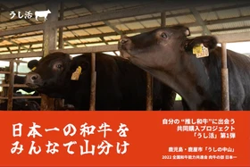 「日本一の和牛」をみんなで山分け！生産者も消費者もうれしい、新たな共同購入プロジェクト「うし活」始動
