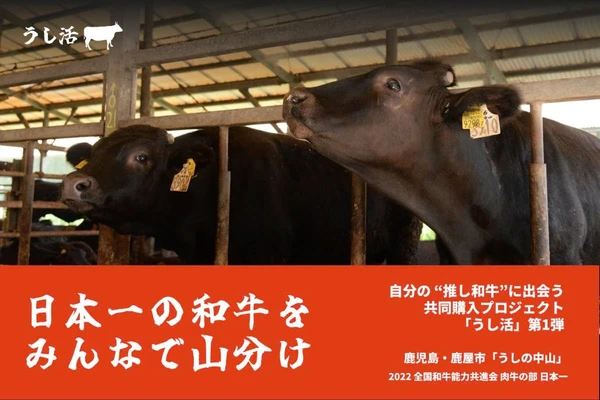 「日本一の和牛」をみんなで山分け!生産者も消費者もうれしい、新たな共同購入プロジェクト「うし活」始動