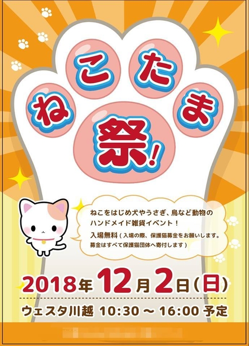 ねこたま祭!フライヤー