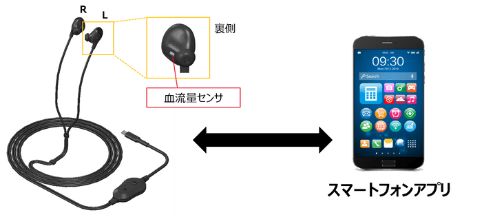 システム構成