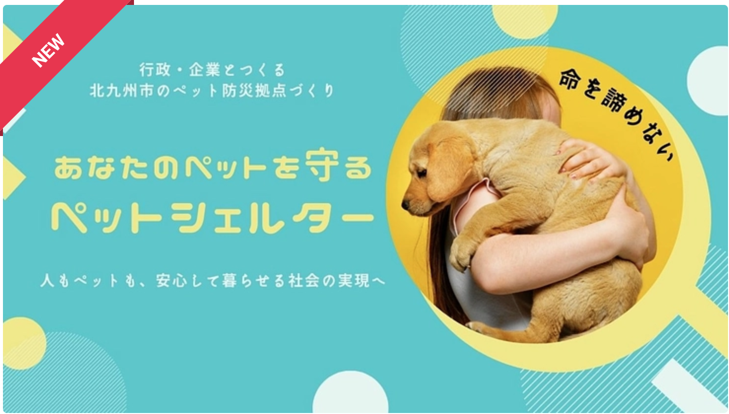 NPO法人 ALL OK、行政・企業と連携し「ペットシェルター」共同開発プロジェクトを始動！