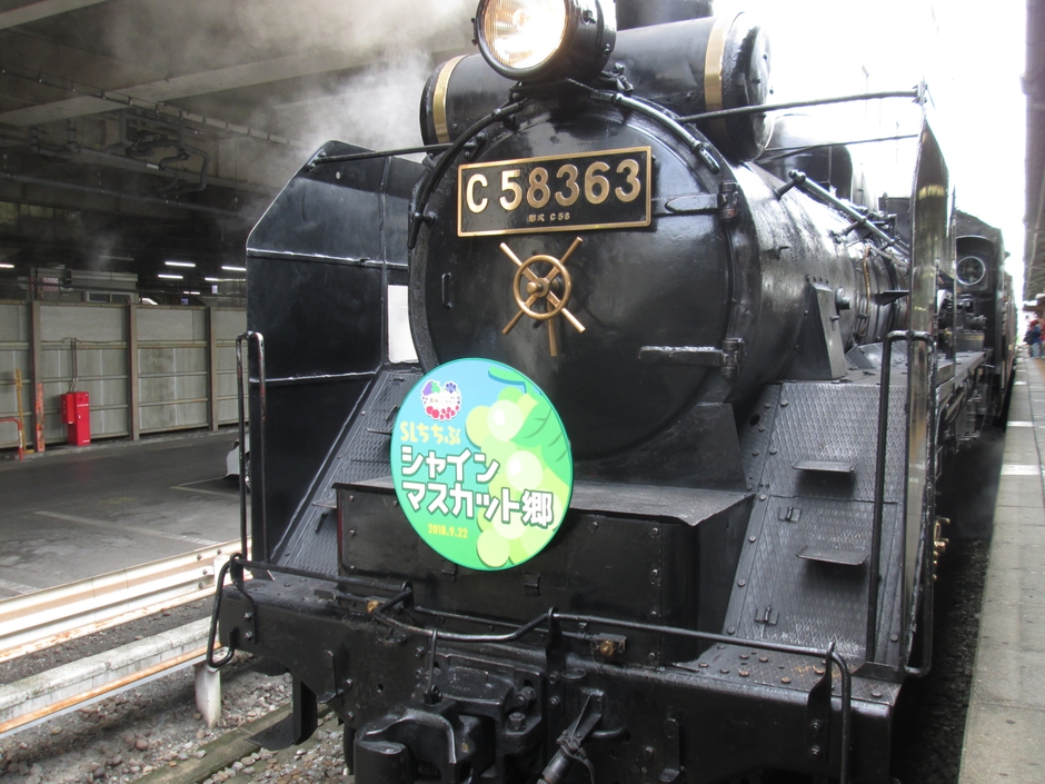 SLちちぶシャインマスカット郷イメージ