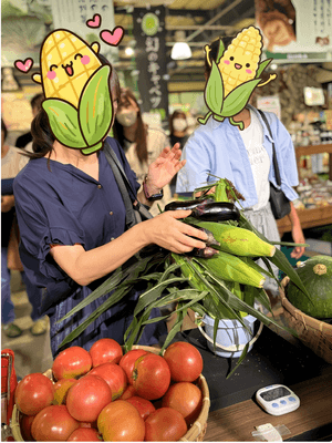 お得に旬のおいしいお野菜をゲット!