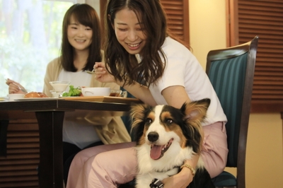 レストランへのワンちゃん同伴もOK