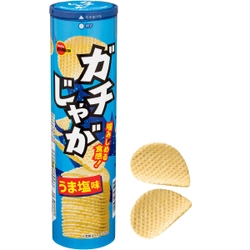 ブルボン、食感、味わい、ガチンコ勝負　 噛み応え抜群のポテトチップス“ガチじゃが”2品を 7月16日(火)に新発売！