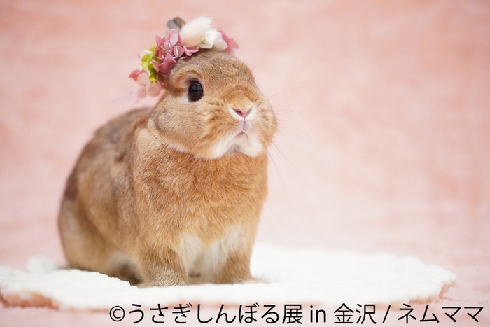 うさぎしんぼる展 展示作品5