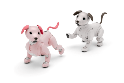 aibo いちごミルクエディション(左)とアイボリーホワイト(右)