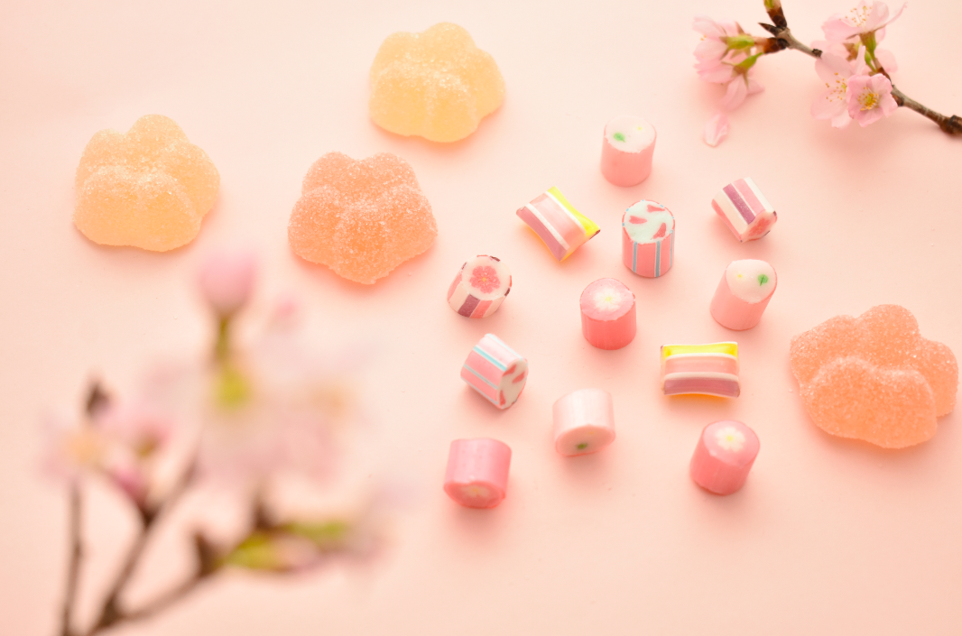 一足早く桜、咲きました