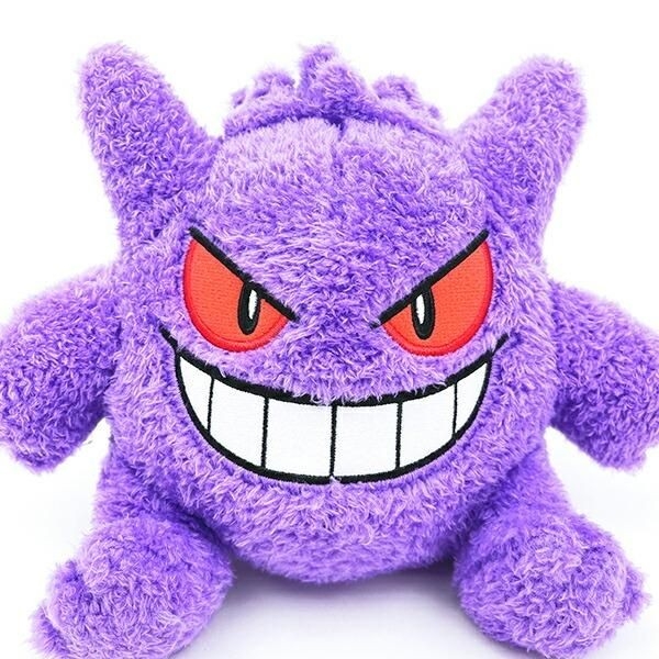 ポケモンのぬいぐるみ