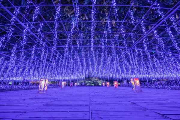 あしかがフラワーパーク２