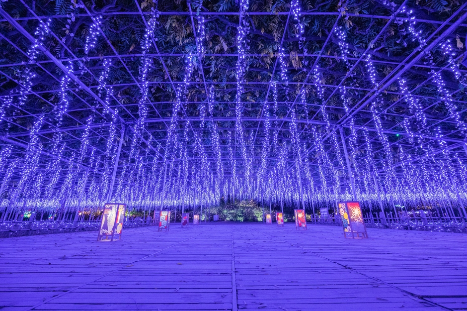 あしかがフラワーパーク２