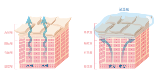 イメージ図