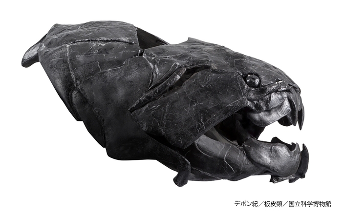 ダンクルオステウス（レプリカ）