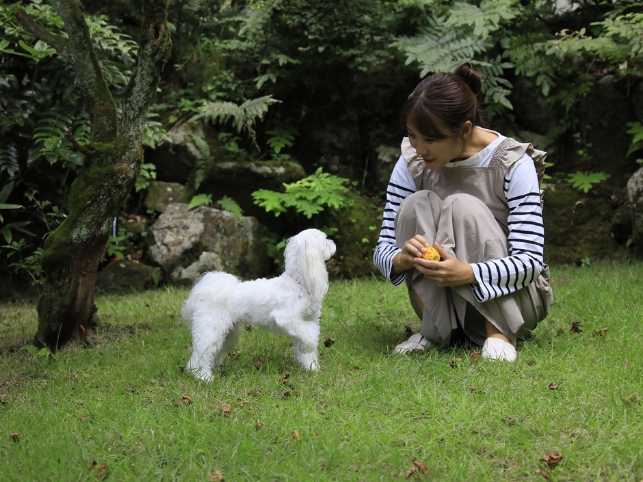 コミュニティガーデン