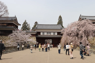 春爛漫！約1,000本の桜が咲き誇る　 第23回上田城千本桜まつり　 4月4日(土)～12日(日)に開催！！