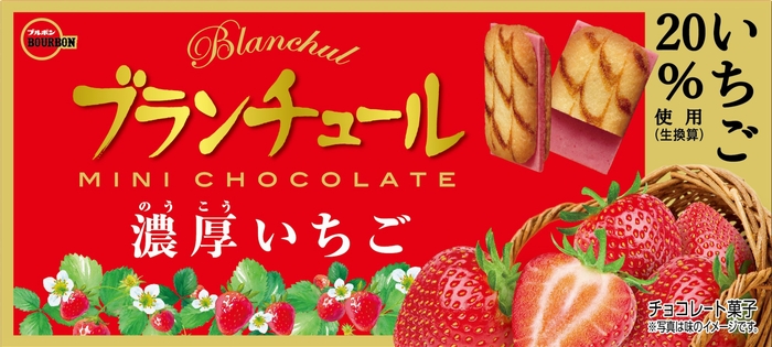 ブランチュールミニチョコレート濃厚いちご