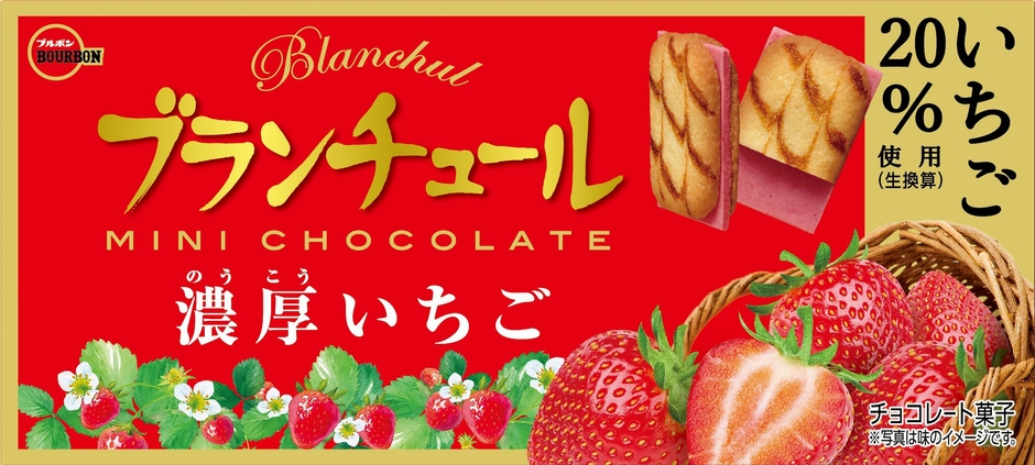 ブランチュールミニチョコレート濃厚いちご