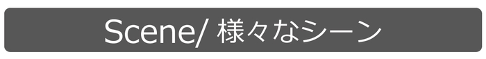 scene_index