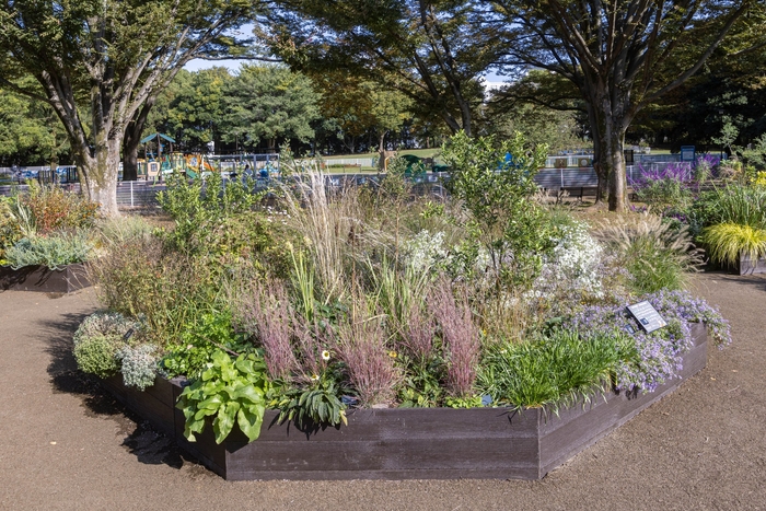 Cガーデンの様子(11月)