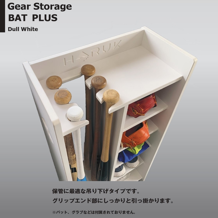 商品画像　Gear Storage BATPLUS WT4