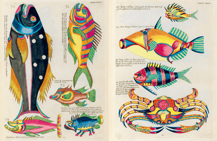 『愛書狂の本棚 異能と夢想が生んだ奇書・稀覯書』中面