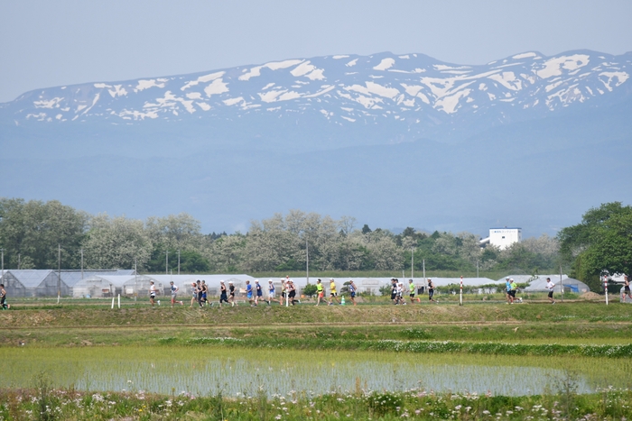 きらめく初夏の田園風景のなかを駆け抜けます