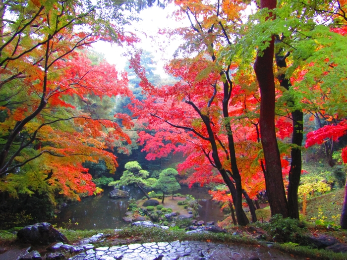 殿ヶ谷戸庭園