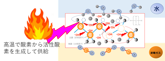 燃焼との違い（燃焼）